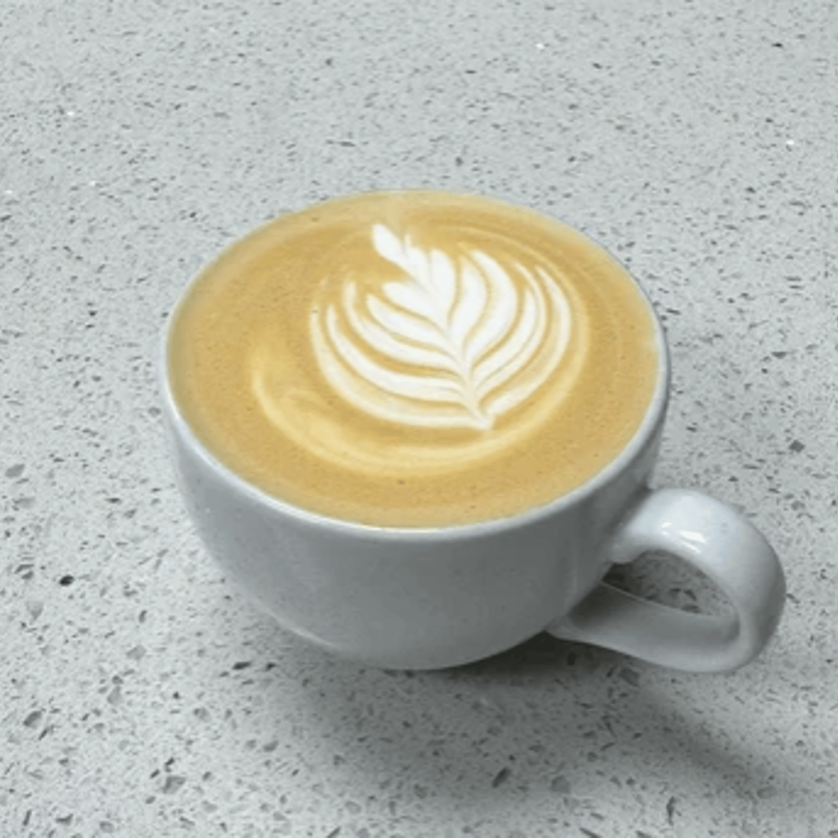 Latte with rosetta latte art at Main St Cafe